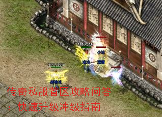 ˽ʴ𣺿弶ָ