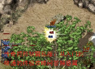 ʦư˽ŵͨռʴƪ