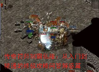 ʦư˽ŵͨռʴƪ