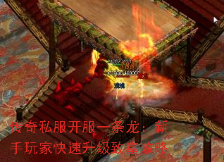˽һҿ¸