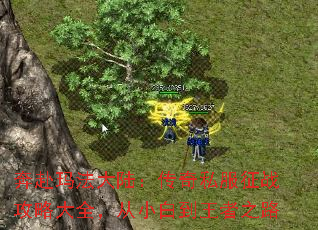 귨½˽սԴȫС׵֮·