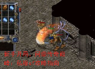 ֿ֣ʶ۷壺˽sfָ