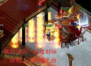 SFʵ̽Ϲ֮ͨ