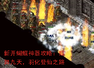 ¿ԣ죬𻯵֮·