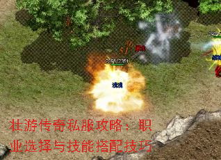 ׳δ˽ԣְҵѡ뼼ܴ似