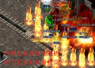 ̨ȫ𲽵װ