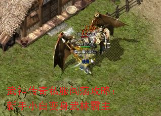 ˽ԣСױְ