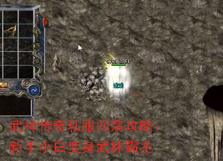 ˽ԣСױְ