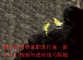 紫浥ְҵָ׼̽