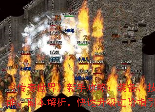 硷ֹԣװܡָ