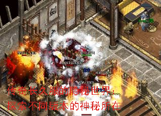 泤÷磺̽ͬ汾