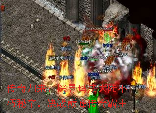 ̽Ѱ귨½ս۷崫