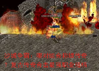 ɳԣĶϳ۴棿Ŵϻǿְҵ
