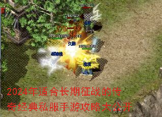 2024ʺϳսĴ澭˽ιԴ󹫿