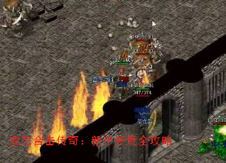 ̬ϻ棺ֿȫ