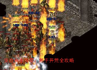 ̬ϻ棺ֿȫ