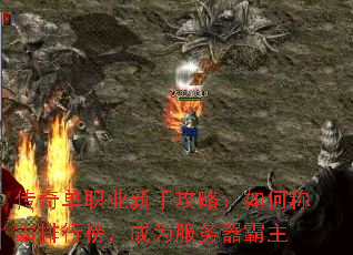 浥ְҵֹԣγưа񣬳Ϊ