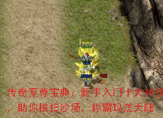 𱦵䣺ʮ񼼣ɨɳư귨½