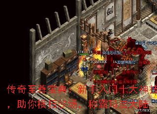 𱦵䣺ʮ񼼣ɨɳư귨½