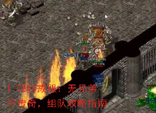 1.76ؽֵܲ棬ӹָ