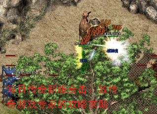 ÿմ·ϻ´ϷרҵĹ