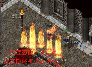 ̬棺ʷ̬񼼴