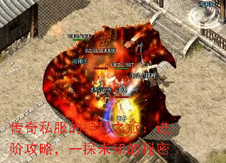 ˽֮ã׹ԣһ̽δ֪