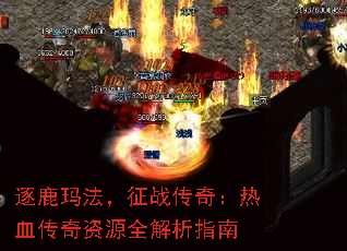 ¹귨ս棺ѪԴȫָ