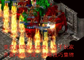 ̬Ӣۺϻ棺ǧʶɳǣıԼɼ