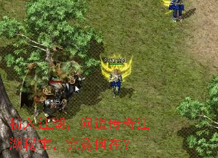 뽭ʵ潭رڣ