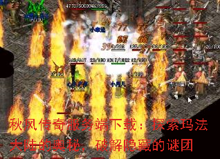 紫أ̽귨½İأƽص