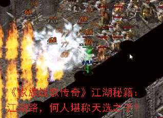 ս贫桷ؼ·˿ѡ֮ӣ
