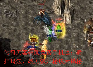 浶͸ֻ棺ɨ귨սؾ