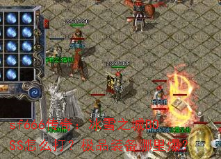 sf666棺ѩ֮BOSSô򣿼Ʒװﱬ