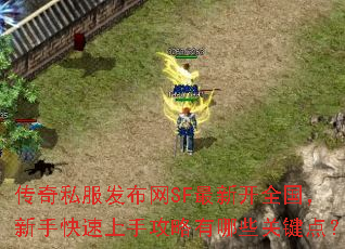 ˽SF¿ȫֹֿЩؼ㣿