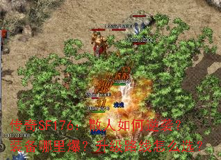 SF176ɢϮװﱬ·ôѡ