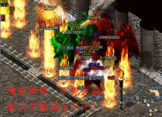 磺֮β