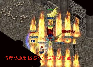 ˽ôٳ弶