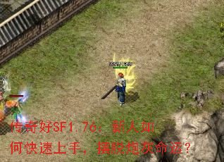 SF1.76ο֣ڻˣ