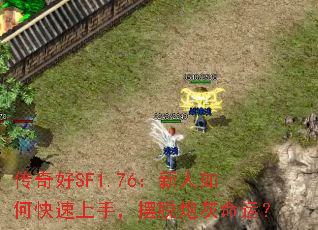 SF1.76ο֣ڻˣ