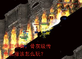 ¾䣬ǻҼ˽ô棿