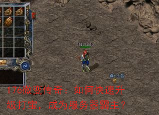 176΢䴫棺ο򱦣Ϊ