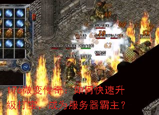 176΢䴫棺ο򱦣Ϊ