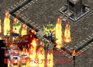 ֵǣ洫ôѡְҵսŲȿӣ