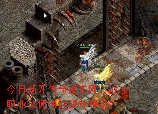 ¿淢սʿְҵοȼ