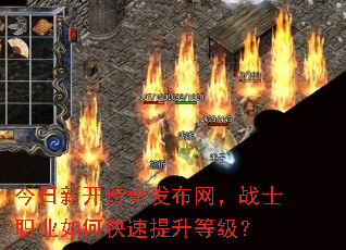 ¿淢սʿְҵοȼ