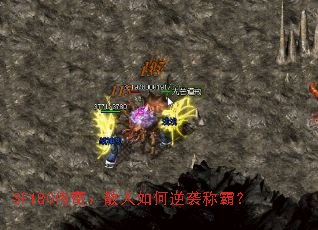 SF180棺ɢϮưԣ