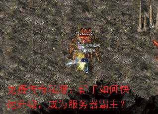 Ѵ˽οΪ