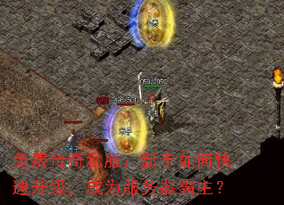 Ѵ˽οΪ