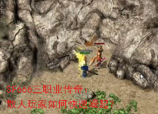 SF666ְҵ棺ɢο